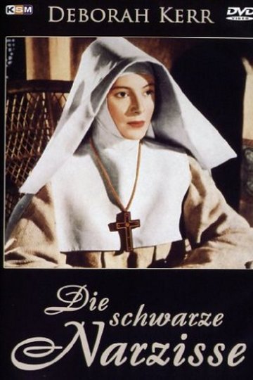 Schwarze Narzisse