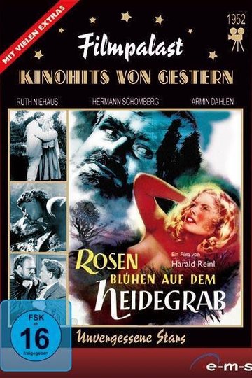 Poster Rosen blühen auf dem Heidegrab