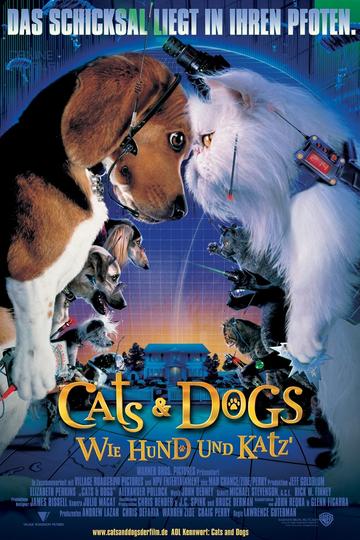 Poster Cats & Dogs - Wie Hund und Katz