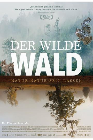 Poster Der wilde Wald - Natur Natur sein lassen