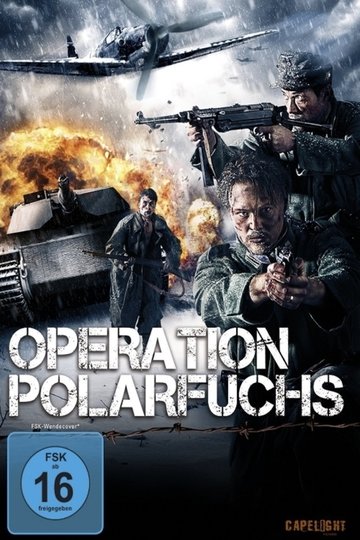 Poster Gränsen