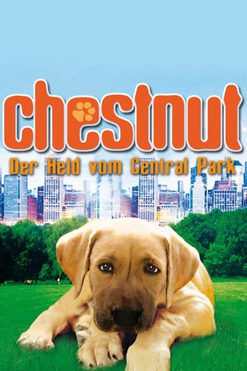 Poster Chestnut - Der Held vom Central Park
