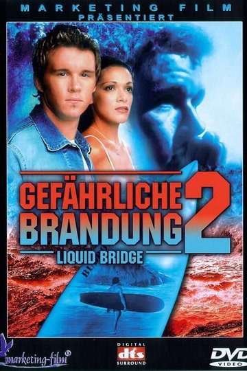 Poster Liquid Bridge