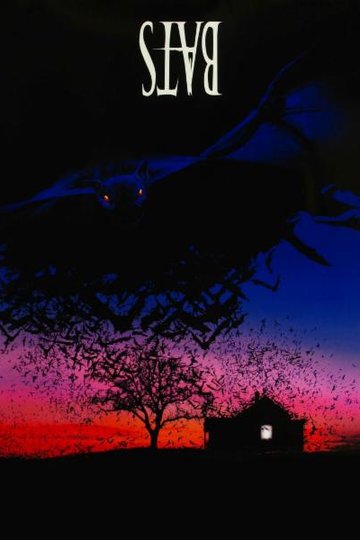 Poster Bats - Fliegende Teufel