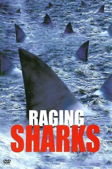 Poster Raging Sharks