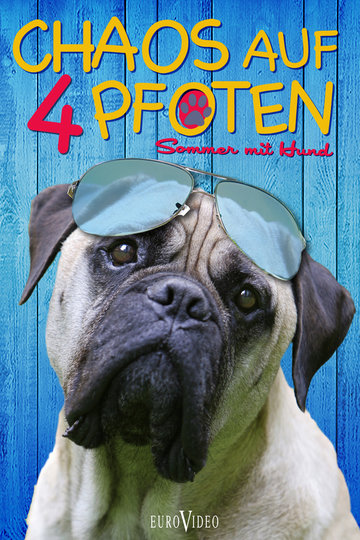 Poster Frank