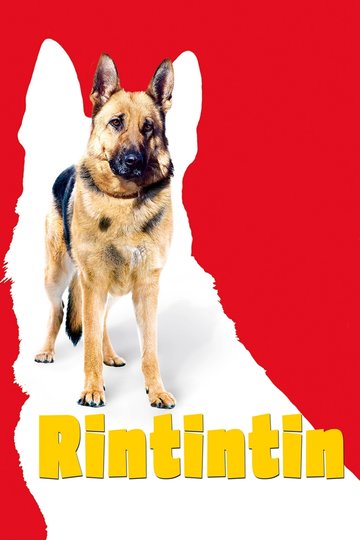 Poster Rin Tin Tin - Ein Held auf Pfoten