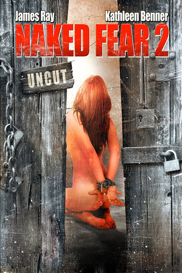 Poster The Abducted