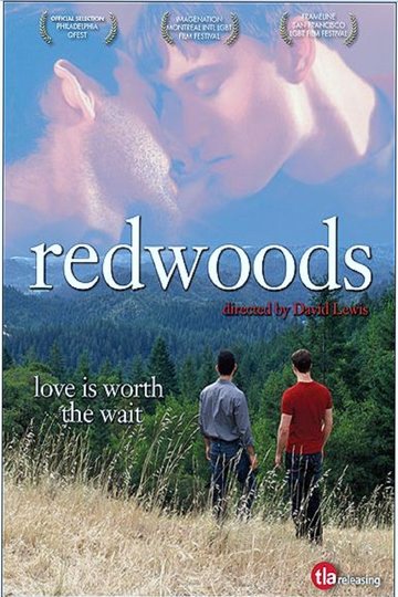 Poster Redwoods