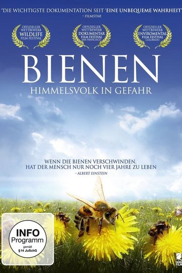 Poster Vanishing of the Bees