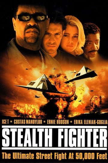 Poster Stealth Fighter