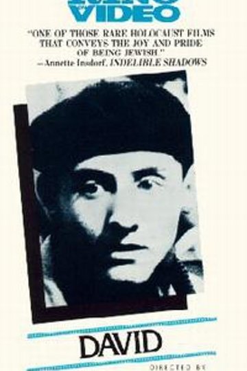 Poster David