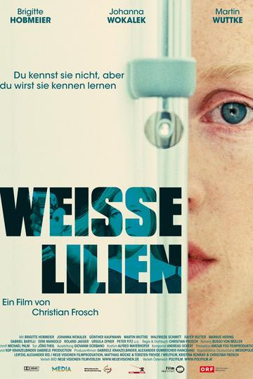 Weiße Lilien
