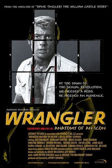 Poster Wrangler: Anatomy of an Icon