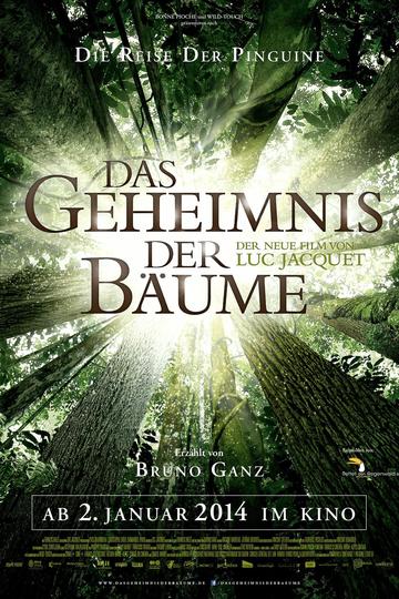 Poster Das Geheimnis der Bäume