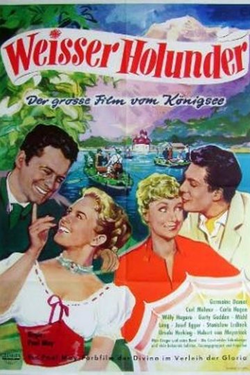 Poster Weißer Holunder
