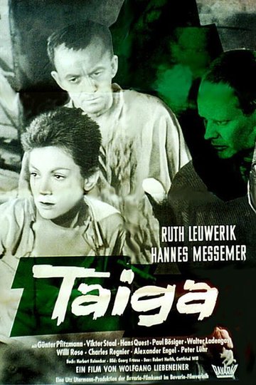 Poster Taiga