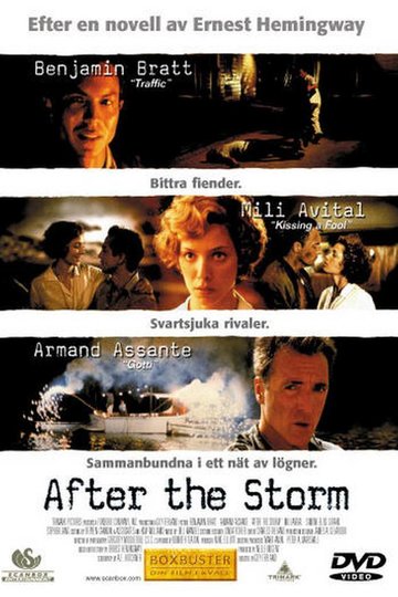 Poster After the Storm
