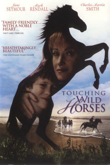 Poster Touching Wild Horses