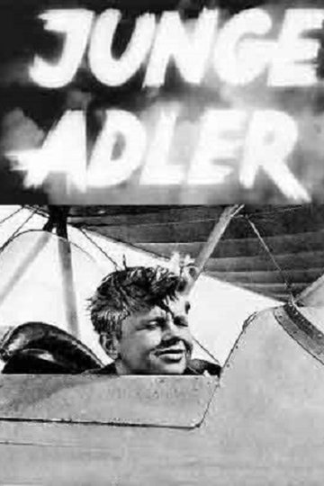 Poster Junge Adler