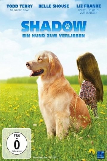 Poster  Summer's Shadow